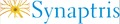 Synaptris -  Reportistica Avanzata all’interno di Lotus Notes